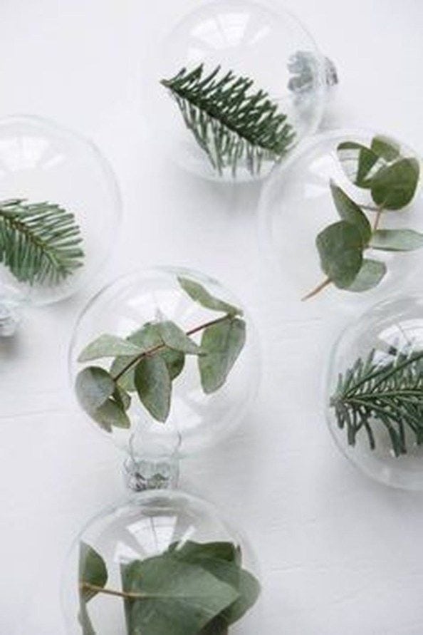 Fake Plant Leaves In Empty Light Bulbs